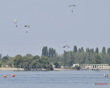 aeronauticshow-lacul-morii-bucuresti_44.JPG