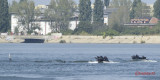 aeronauticshow-lacul-morii-bucuresti_53.JPG