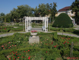 parcul-rozelor-trandafiri-timisoara_50.JPG