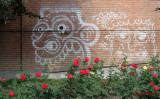 graffiti-timisoara-romania_28.JPG