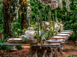 Water...Woods...and a Wedding!