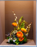 Shadow Box