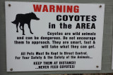 20170104_144508 Sullivans Island Coyote warning.jpg