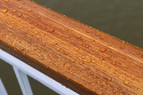 EE5A6772 Rain drops on railing.jpg