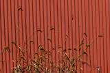 EE5A4889 PA barn and grass.jpg