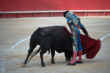 Diego san Roman Nimes feria des vandanges