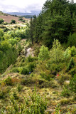 2017 - Zubiri to Pamplona - IMGP3320