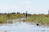 SA_06148-OkavangoSwamp.JPG