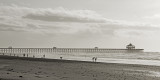 DSC_6053ar-24x12-bw.jpg