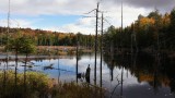 Québec - Nature et Parcs