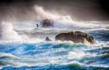 Wild Atlantic 