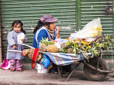 Daydreaming Pineapple Vendor