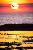 Doonbeg Sunset