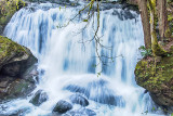 Whatcom Falls