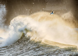 Wild Atlantic Wave