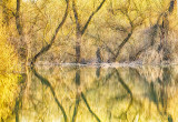 Springtime in the Danube Delta