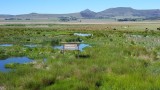 Wakkerstroom Wetland Reserve