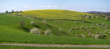 Rapeseed on a hill chain.