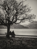 Together in a quiet scene ....