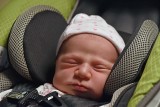 Sleeping In Car Seat