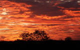 Dawn at Potengi, Ceará