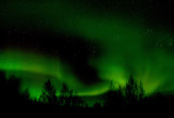 Aurora borealis - PB140236.jpg