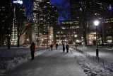 Park after dark