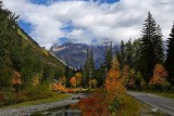 Fall foliage along scenic byway