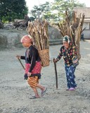 Firewood