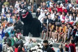A Bull in the Stands