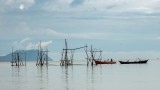 Fishing Boats