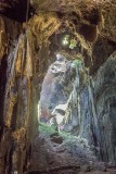 Gomantong Caves