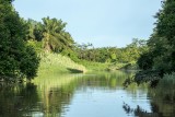 Tranquility