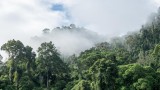 Top of a Hill Poking above the Clouds