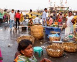 Fish Market on the Wharf