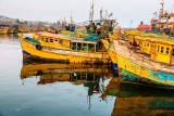 Fishing Boats in the Harbor