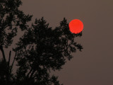 Days of The Red Sun and Moon