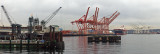 Cranes of Seattle