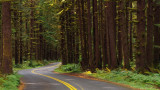 So Many Roads…
