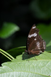 _D755499.jpg