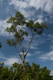 _D756479.jpg
