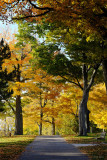 Lake Ontario Park