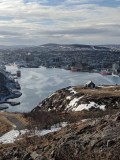 Newfoundland_1.jpeg