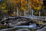 D4E_7361FallColorMcGeeCreek1.jpg