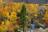 D4E_7391FallColorMcGeeCreek1.jpg
