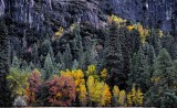 D4F_8891Yosemite1.jpg