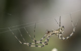 00 1354Fs_EM94759.jpg