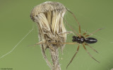 1096MA-96532.jpg