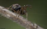 1359FA_EM95035.jpg