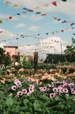 Blooming Spring Farmers Market